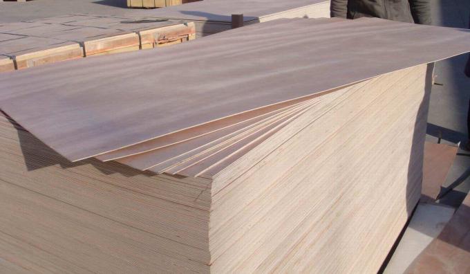 Alta madera contrachapada de clasificación de la calidad comercial con los corazones de Combi de la madera dura del pino del abedul del álamo