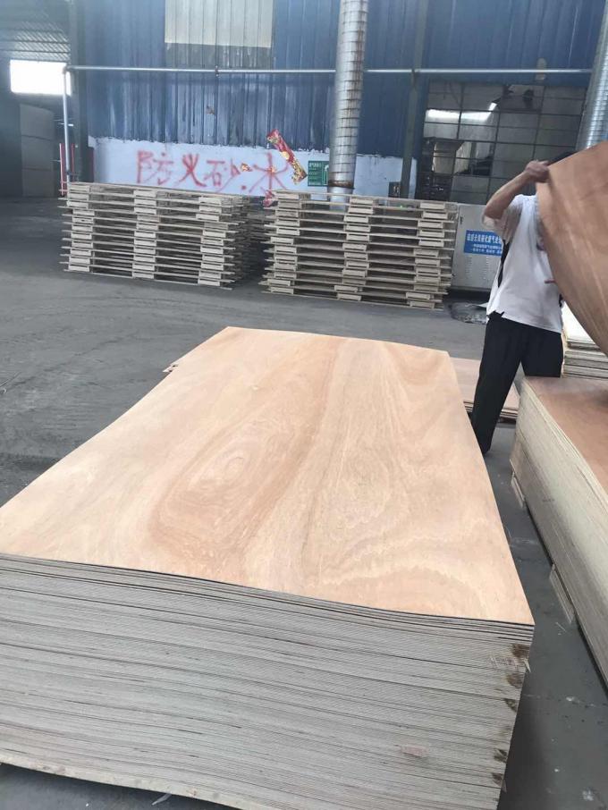 La madera contrachapada blanca artificial de la calidad comercial con la chapa hizo frente a SR. WBP 1220*2440 milímetro