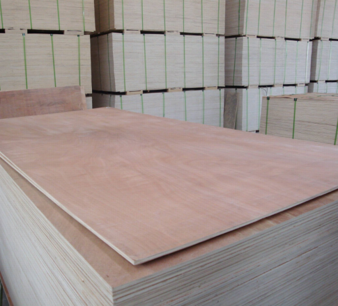 madera contrachapada de la calidad comercial de Okoume de la base del álamo de 18m m para hacer la decoración de los muebles