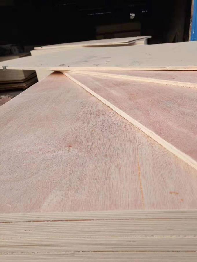 La madera contrachapada de la calidad comercial del eucalipto con Okoume hizo frente a tamaño estándar