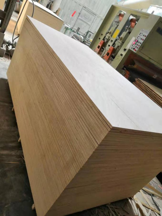 Decoración de los muebles de la madera contrachapada de Okoume del pegamento E1, madera contrachapada del artículo 9m m