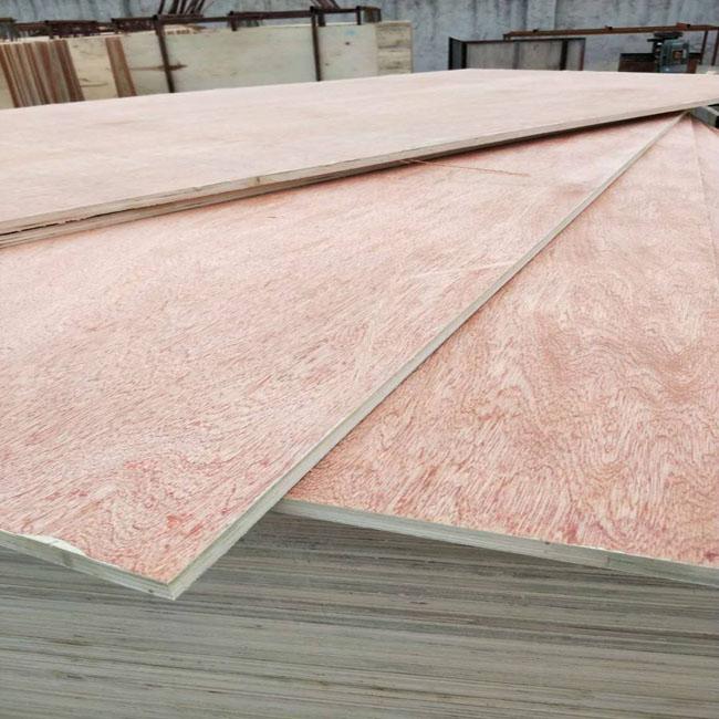 base del álamo del pegamento de la madera contrachapada E1 de la calidad comercial de 25m m Bintangor para la decoración exterior