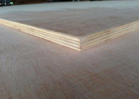 High Grading Commercial Grade Plywood With Poplar Birch Pine Hardwood Combi Cores
