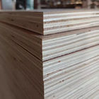 2mm To 20mm Commercial Plywood Poplar Core Natural Okoume Wood Veneer