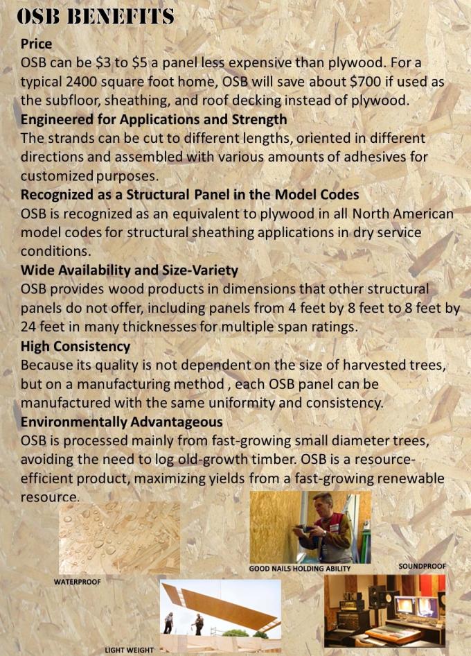 Tablero de la madera dura 15m m OSB 3 de la base del álamo, hojas anti-incrustantes de la prenda impermeable OSB