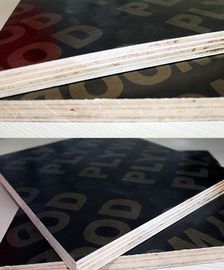 Water Boiled Proof Black Film Faced Plywood For Office Building Projects 2440x1220mm