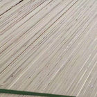 China La chapa de madera del álamo hizo frente a la madera contrachapada de la calidad comercial un material completo de la base de la prensa caliente del tiempo compañía